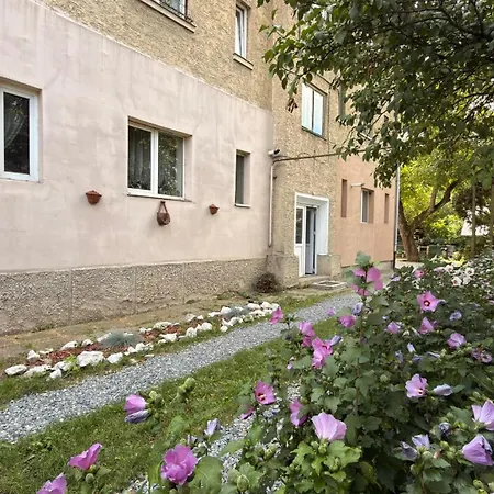 Lejlighed Verde22 - Calm &